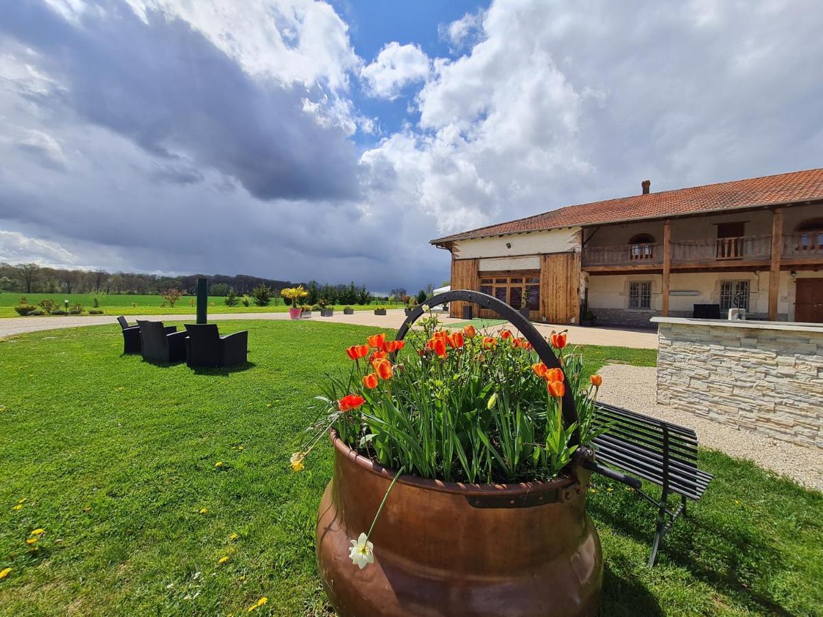 Domaine Du Cuiset -Gite Des Combles Villa Saint-Andre-sur-Vieux-Jonc ภายนอก รูปภาพ